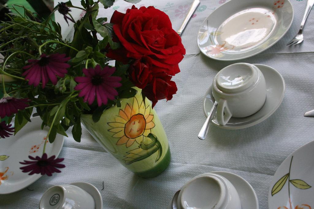 بلاتانياس Des Roses Hotel المظهر الخارجي الصورة